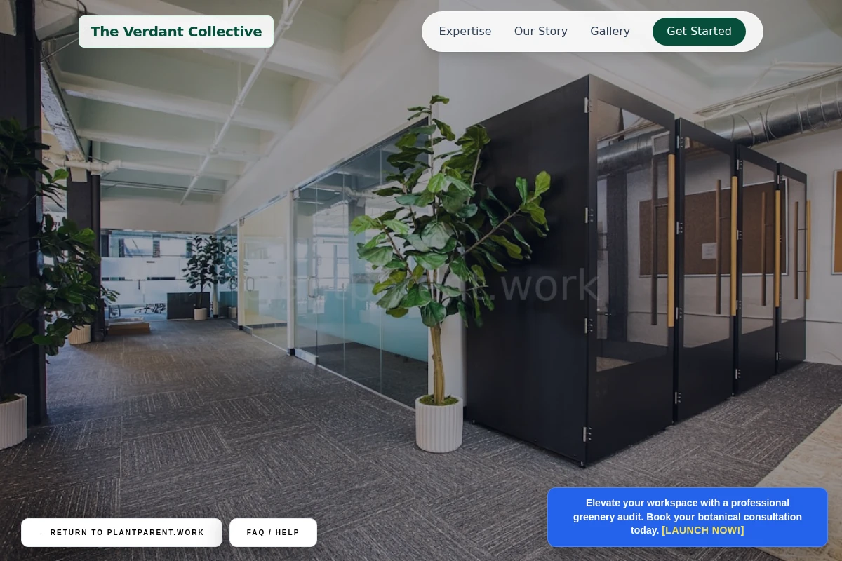 Watering Office Plants