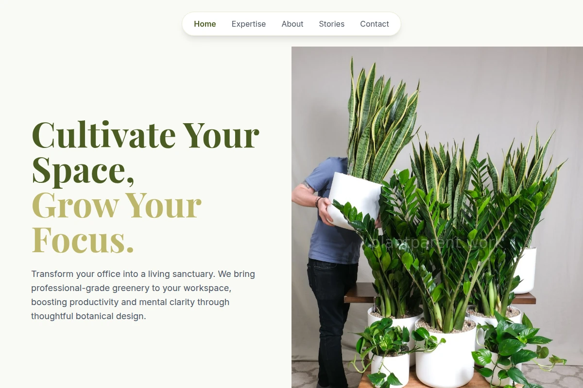 Cultivate Office Plants