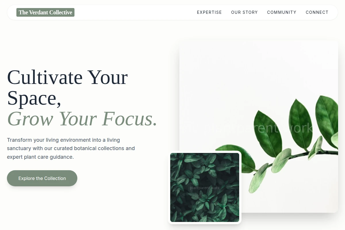 Petal Plants
