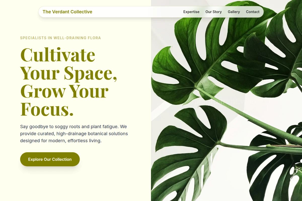 Drainage Plants