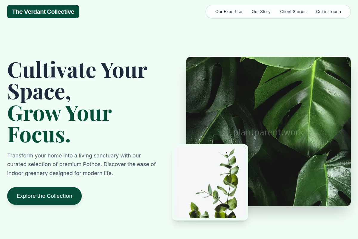 plants